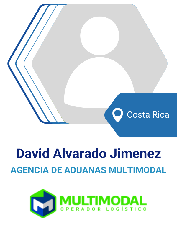 MULTIMODAL_DAVID